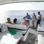 Tekne koltuk güneşlenme minderi FORMULA