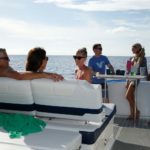 Teknede parti - ayarlı sırtlık FORMULA